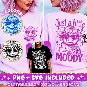 A trendy png and svg cut file design of a cute baby highland cow wearing heart sunglassss and holding an iced coffee with the words JUST A LITTLE BIT MOODY. Both a front pocket and back design are included.