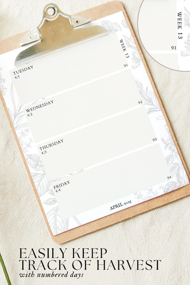 K&ouml;nnte beinhalten: Ein druckbarer Kalender mit floralem Design, betitelt "EASILY KEEP TRACK OF HARVEST with numbered days". Der Kalender ist f&uuml;r April 2025 und enth&auml;lt einen Abschnitt f&uuml;r jeden Tag der Woche mit Platz zum Notieren.