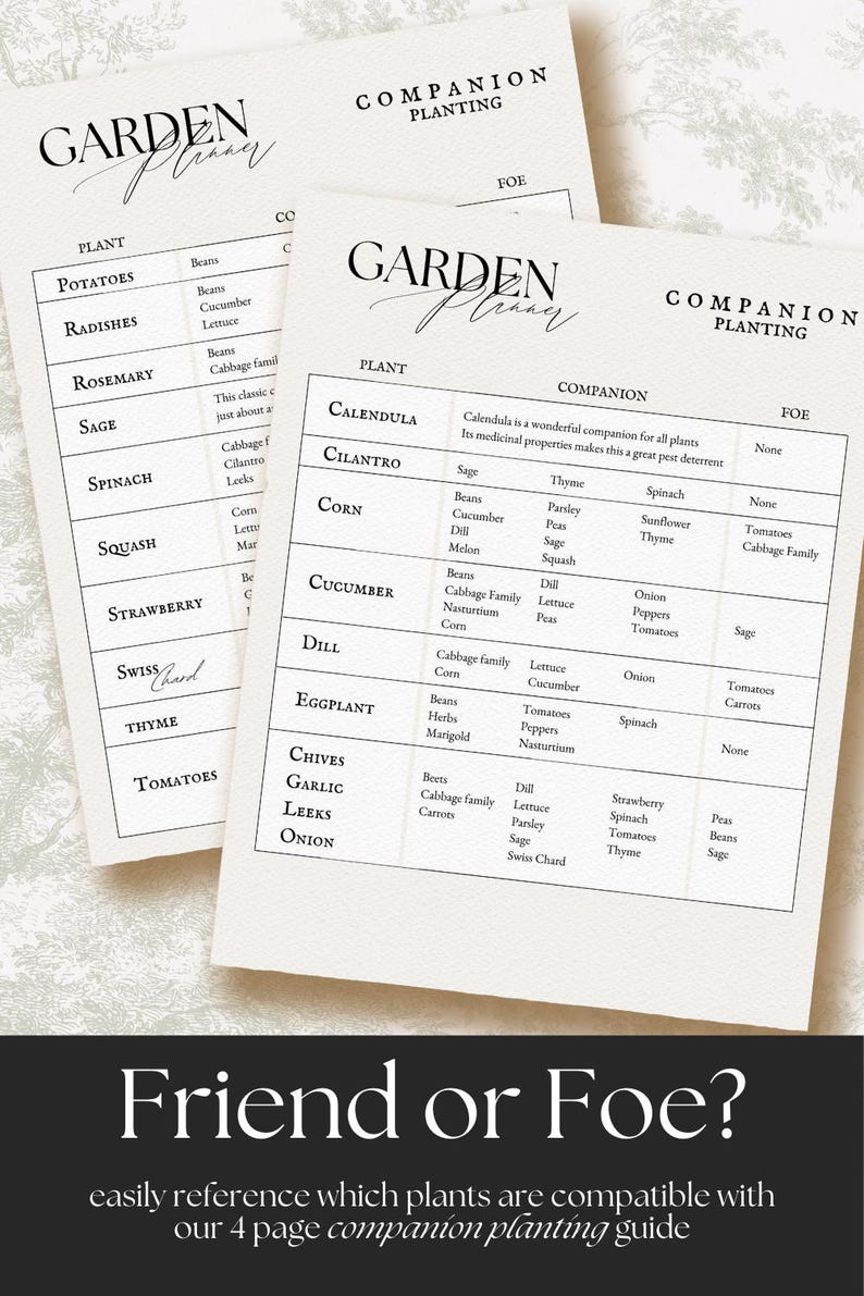 K&ouml;nnte beinhalten: Ein druckbarer Gartenplaner mit einem schwarz-wei&szlig;en Design. Die Tabelle listet verschiedene Pflanzen und ihre Begleit- und Feindpflanzen auf. Die Tabelle ist mit "Garden Planner" und "Friend or Foe?" betitelt und enth&auml;lt den Text "easily reference which plants are compatible with our 4 page companion planting guide".
