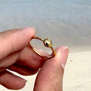 May include: A gold ring with a small, raised seashell design. The seashell has a black center.