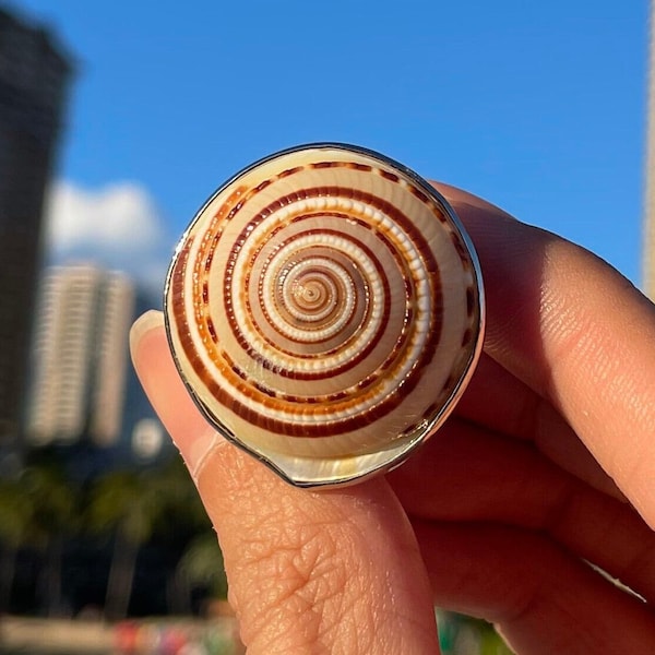 Seashell Ring, Sundial Seashell Ring, Natural Sea Shell Ring, Stainless Steel Adjustable Ring, Statement Piece, Tarnish Resistant Ring