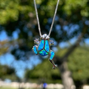 Puede incluir: Collar de plata con colgante de rana. La rana tiene un cuerpo de ópalo azul y detalles rosas. El colgante cuelga de una fina cadena. El fondo muestra una zona verde y un árbol bajo un cielo azul.