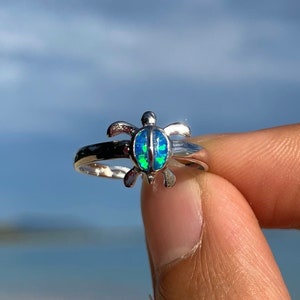 May include: A silver ring with a blue and green opal turtle charm. The ring is being held by a hand against a blue sky background.