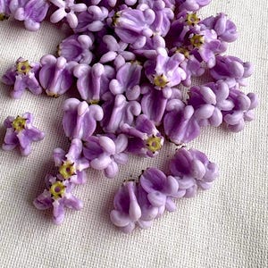 May include: A collection of small, light purple flowers with yellow centers, arranged on a white textured surface. The flowers have a unique shape, with multiple petals and a clustered appearance. The overall aesthetic is delicate and natural.