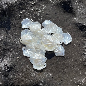 Può includere: Un mucchio di forme di conchiglie di madreperla bianca con un foro in ciascuna. Le conchiglie sono su una superficie testurizzata grigio scuro.