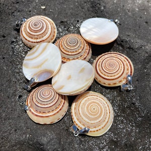 Schelpenbedels met parelmoer achterkant / Natuurlijke schelp DIY-knutselspullen met verwijderbare borgbeugel Finding