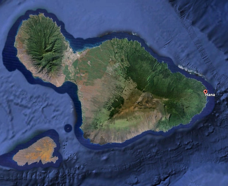 Light Green Pakalana Clay Flowers, Pack of 100 Pcs, Light Green Color