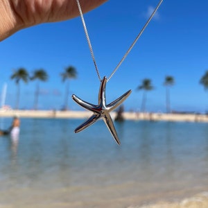 Peut inclure: Un collier avec un pendentif en forme d'&eacute;toile de mer argent&eacute;e suspendu &agrave; une cha&icirc;ne argent&eacute;e. Le collier est tenu par une main sur un fond flou de plage avec des palmiers et un ciel bleu.