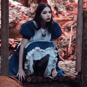 Made to order Alice cosplay dress