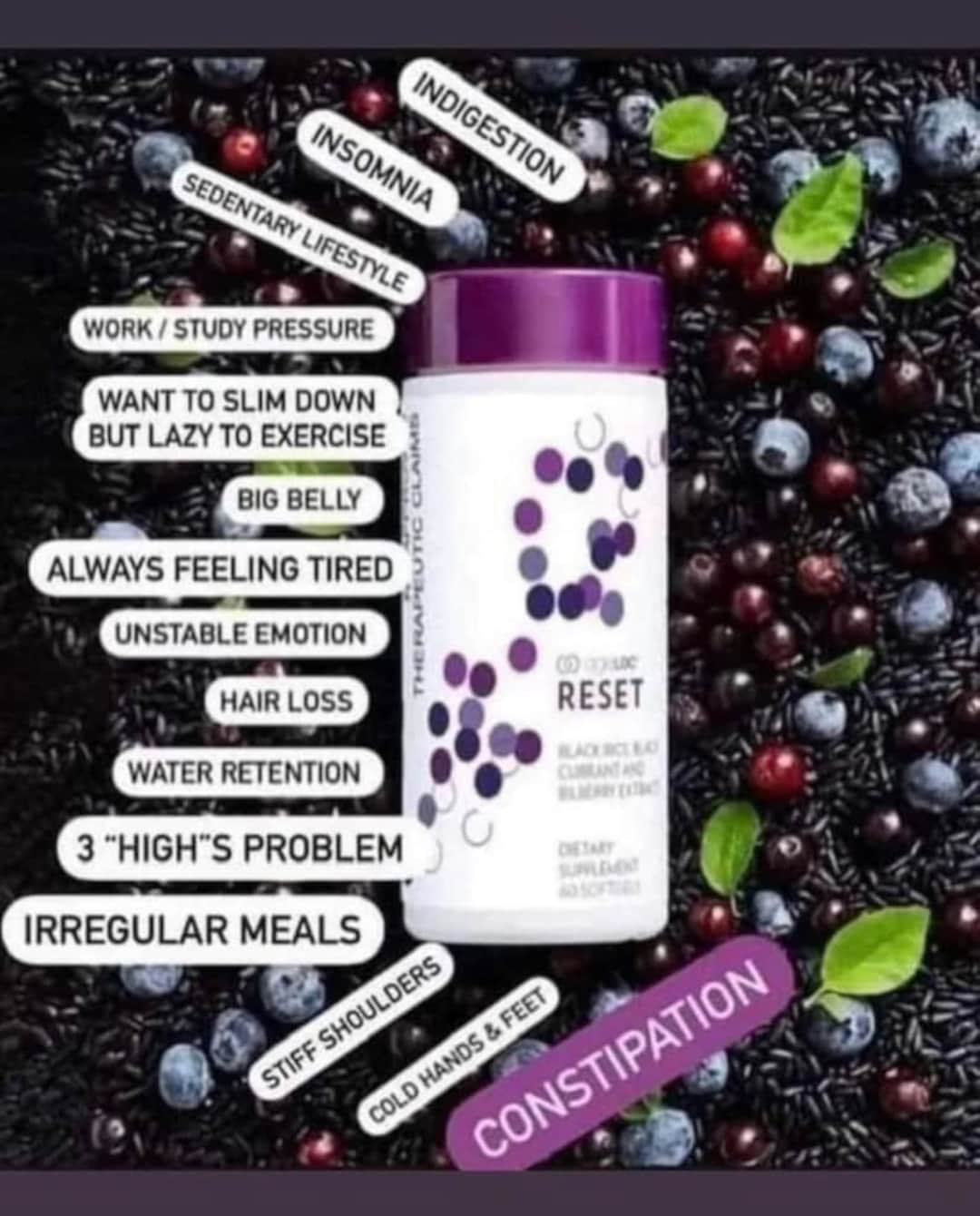 Ageloc META Nuskin 30 Day Supply W/free Gift and Shipping Etsy