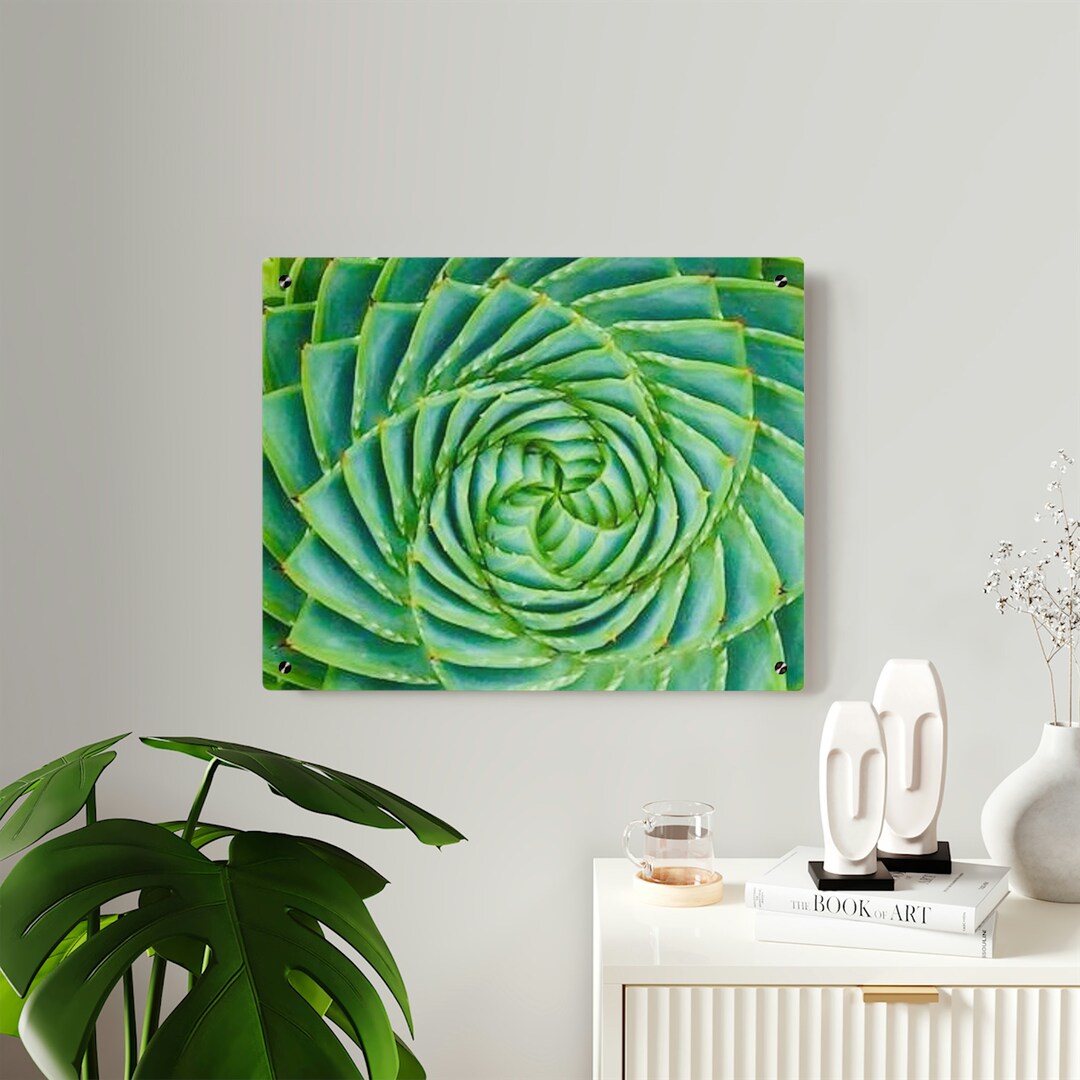 Sacred Geometry Succulent, Acrylic Wall Decor,geometric Plant Wall