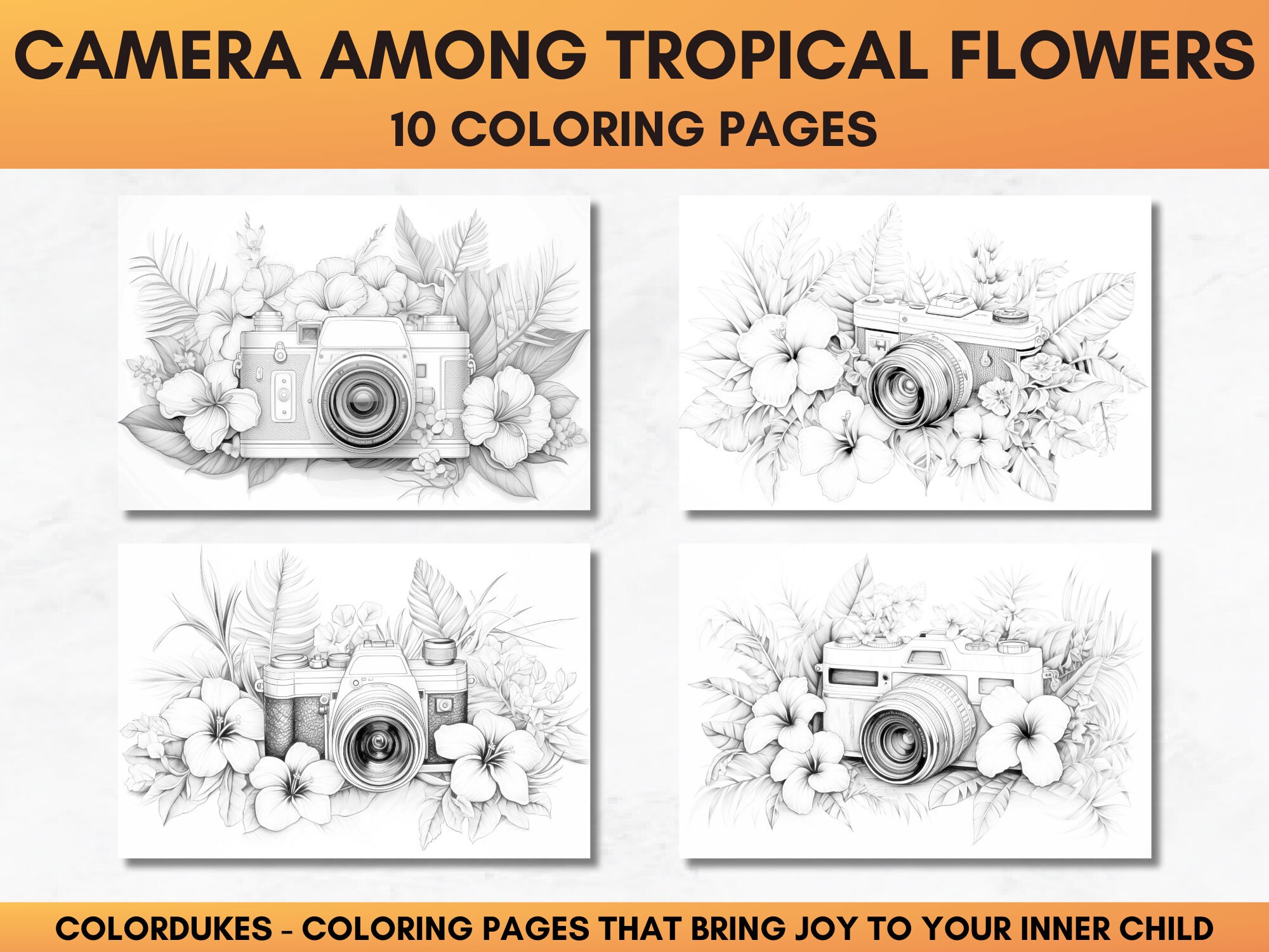 10 Adult Coloring Pages, Camera Coloring Book in Grayscale, Digital ...