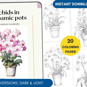 以下が含まれることがあります： 陶器の鉢植えの蘭が描かれた20ページの塗り絵。暗いバージョンと明るいバージョンの2種類があります。表紙には、白とピンクの蘭が白い陶器の鉢植えに植えられているカラフルなイラストが描かれています。