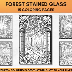 15 Forest Coloring Pages Stained Glass, Not Grayscale Coloring Book for ...