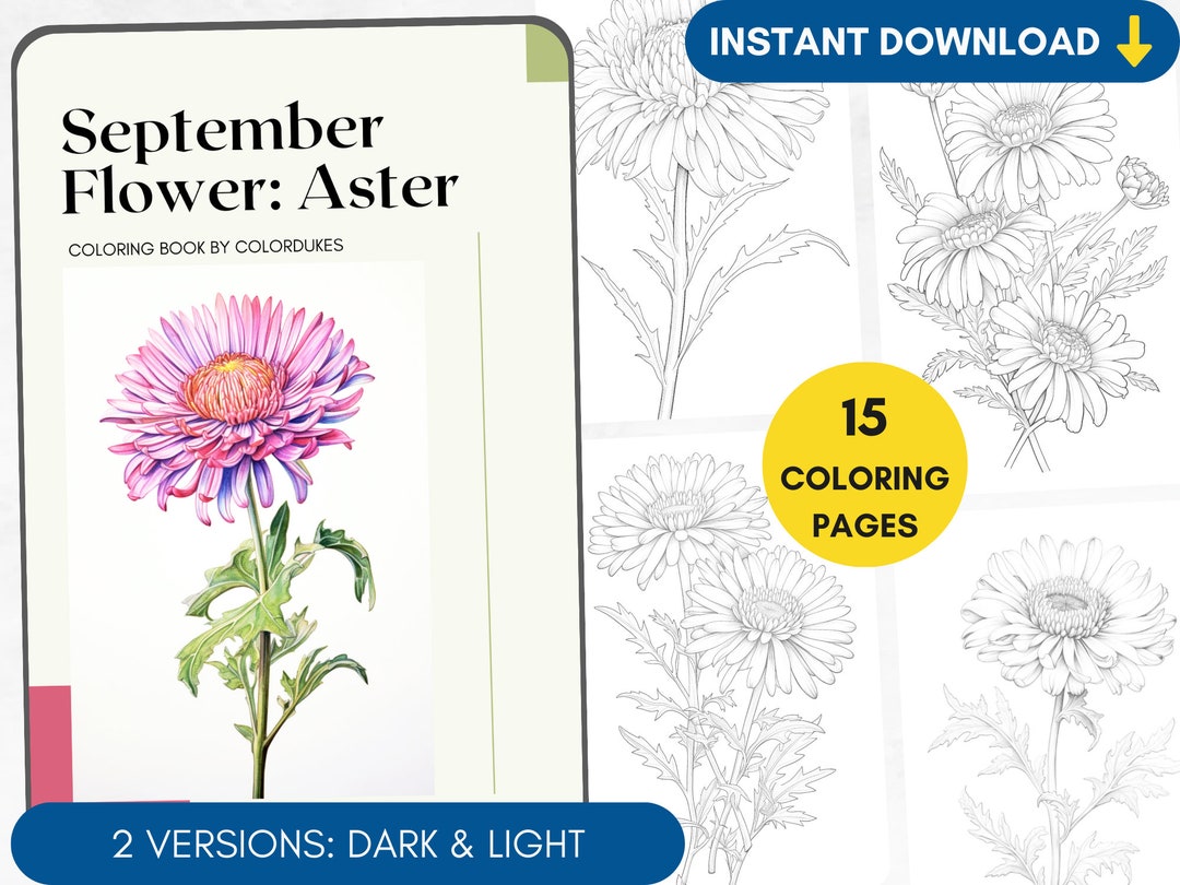 15 Aster Coloring Pages, Autumn Flowers Grayscale Coloring Book for ...