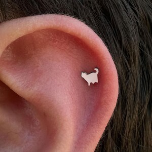 Tragus Cat Etsy
