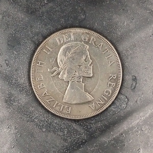 elizabeth collector photo