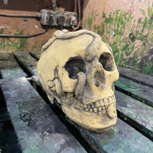 Aged Macabre Gothic Oddity: A Memento Mori Anatomic / Anatomy Skull With Snakes - A Vanitas Sculpture / Death Art Curio