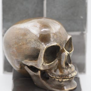 Anatomical Polished Bronze Macabre Gothic Oddity: A Memento Mori Vanitas Skull Solid Metal Cast Sculpture / Postmortem Death Mask Art Curio