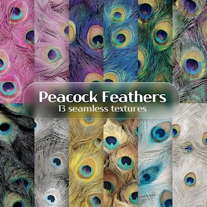 May include: A selection of 13 seamless textures showcasing peacock feathers in diverse colours. The textures include shades of pink, purple, blue, green, gold, and white. The image has the text "Peacock Feathers" and "13 seamless textures".