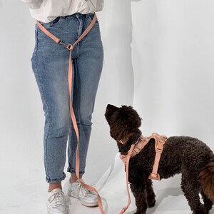 Puede incluir: Un conjunto de arnés y correa para perros de color melocotón. El arnés lo lleva un perro marrón, y la correa está conectada a la cintura de una persona. La persona lleva vaqueros azules y zapatillas blancas. El fondo es blanco.