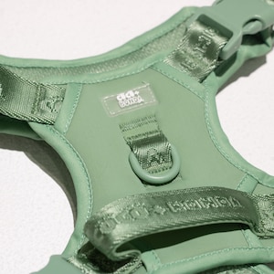 May include: A sage green dog harness with adjustable straps and plastic buckles. The harness features the brand name "d+ bono" and "d+ bono" printed on the straps. The harness has a metal D-ring for leash attachment.