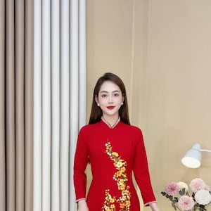 Pre-made Ao Dai Vietnam - Handgeborduurd ontwerp