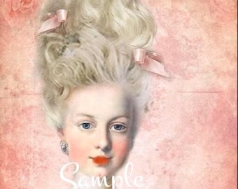 Cotton Fabric Quilt Block/Panel - Marie Antoinette - French - Paris-  Cotton 3100