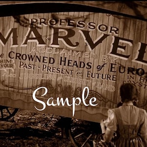 May include: A vintage wooden sign advertising Professor Marvel, a performer who reads past, present, and future. The sign is weathered and has a sample label attached. The sign is in front of a wagon wheel.