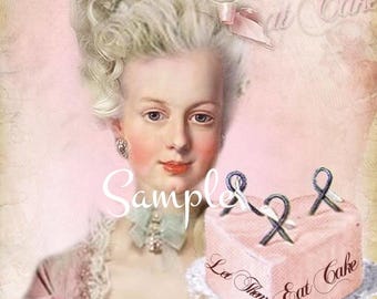 Cotton Fabric Quilt Block/Panel - Marie Antoinette - French - Paris-  Cotton 0458