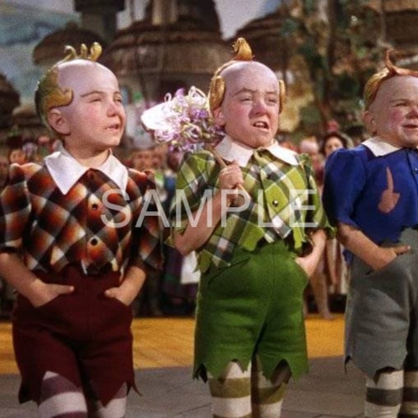 Wizard of Oz Decal - Etsy