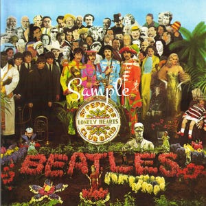 ビートルズのパネル Fabric Art Quilt Block/panel - the Beatles - Sunglasses