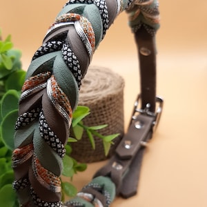 dog collar