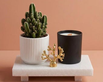 May include: A green cactus in a white ribbed ceramic pot, a black candle with a wooden wick, and a small gold-colored coral-shaped ornament arranged on a rectangular white marble riser with four short feet.