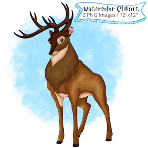 Ciervo de Bambi conjunto de imágenes prediseñadas de acuarela dibujadas a mano, ilustración de dibujos animados lindo, animales del bosque, PNG, ciervo lindo, transparente