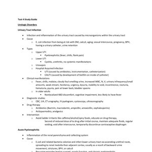 23-seitiger Umfassender Prüfungsleitfaden für urologische Erkrankungen, Medsurg Nursing School Study Guide, PDF