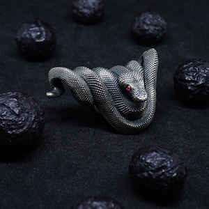 May include: A silver snake ring with a red eye, surrounded by black stones on a black background.