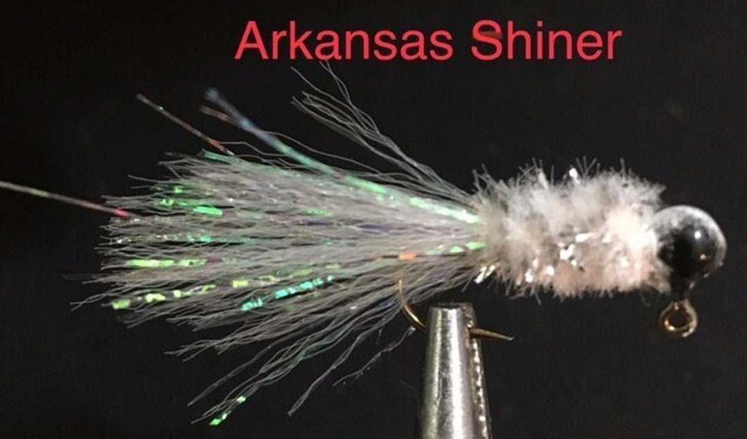 arkansas shiner fishing lure 5.5" Freaky Fish Out fish the competition with the Buckeye Su Arkansas shiner