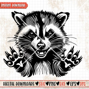 Funny Raccoon svg | Trash Panda Clipart | Street Cat Cutfile | Scavenger Animal dxf | Cute Woodland Raccoon Stencil | Weird Trashy Raccoon