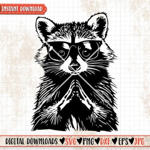 Cute Raccoon svg | Cool Trash Panda Clipart | Street Cats Cutfile | Scavenger Animal dxf | Funny Woodland Raccoon Stencil | Weird Trashy Cat