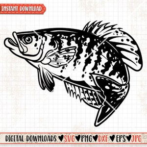 Crappie Fish svg | Lake Fish Clipart | River Fishing Cutfile | Angler Dad Stencil | Angling dxf | Fisherman Gift Idea | Fresh Water Fish jpg