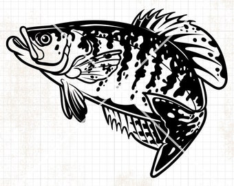 Crappie Fish svg | Lake Fish Clipart | River Fishing Cutfile | Angler Dad Stencil | Angling dxf | Fisherman Gift Idea | Fresh Water Fish jpg
