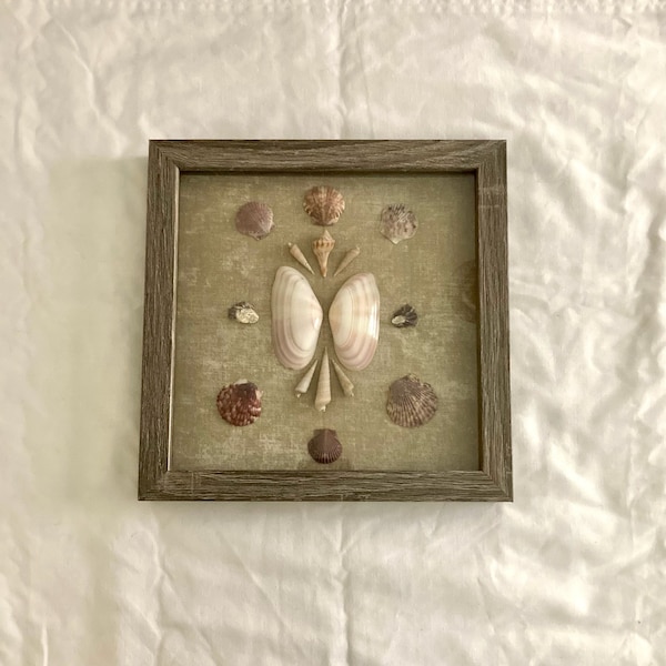 Seashell Shadow Box - Beach House Decor - Shell Display