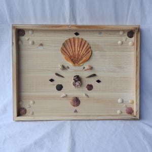 Wood Framed Seashell Display Beach House Decor