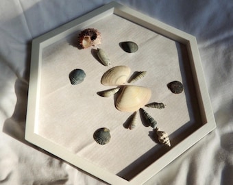 Seashell Art Beach House Wall Decor