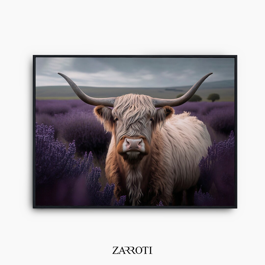 Highland Cow on Lavender Field, Cow on Lavender Field Print, Highland