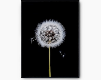 Dandelion Printable Wall Art, Wall Art Prints, Dandelion Wall Art, Dandelion Print, Wall Art, Minimalist Prints, Dandelion Instant Download