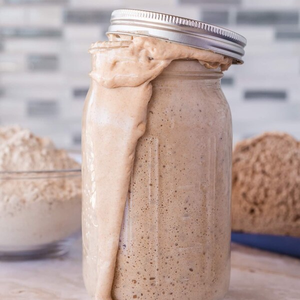 70+ year old Alaskan sourdough starter, Organic