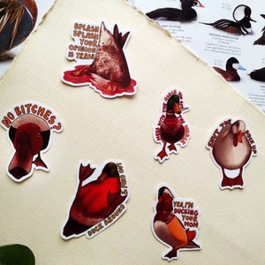 Süße Enten-Aufkleber für Laptop-Aufkleber, lustige Kunst, dekorative Aufkleber-Pack für Entenliebhaber, Geschenk für Vogelliebhaber, Ornithologie-Aufkleber, Meme