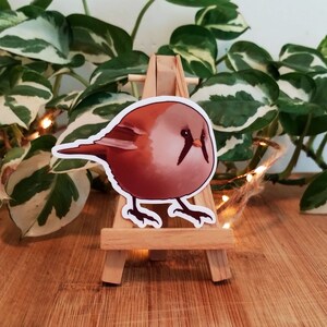 Autocollant de mésange barbu mignon pour autocollant d’ordinateur portable Pack d’autocollants décoratifs d’art drôle pour les amoureux des oiseaux Cadeau seins espèces Art ornithologie autocollant Meme